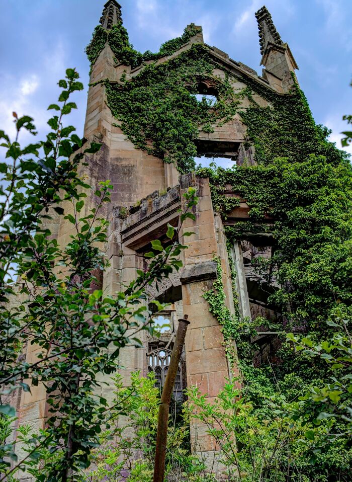 Ruins overtaken by lush greenery, showcasing nature reclaiming civilization.