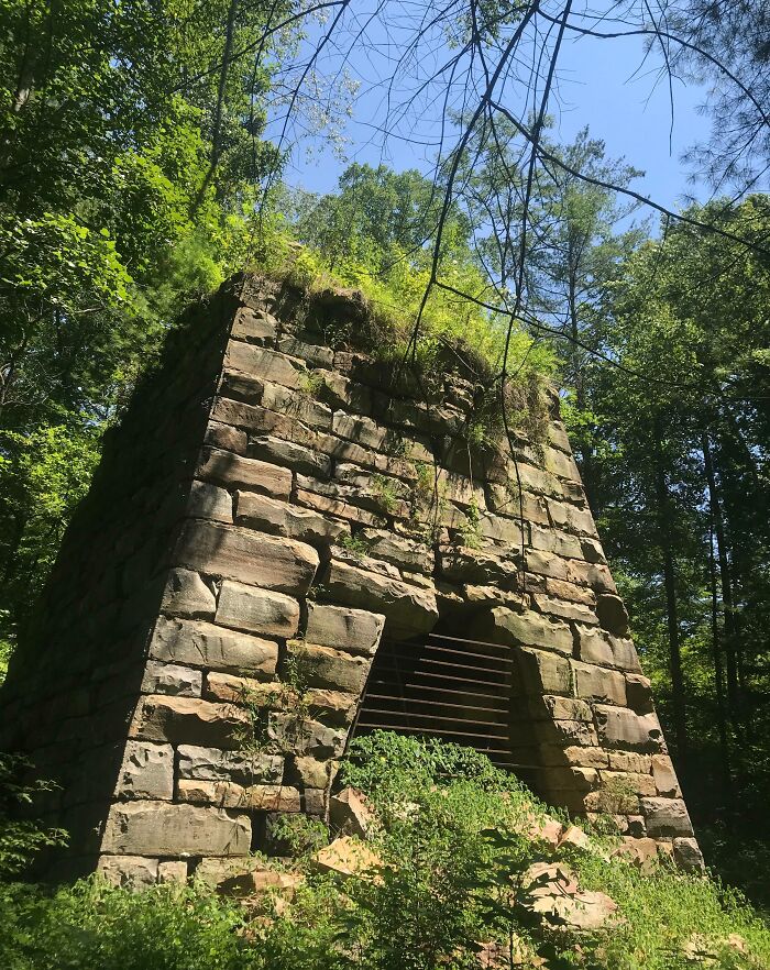 Ancient stone structure in forest overgrown with greenery, showcasing nature reclaiming civilization.