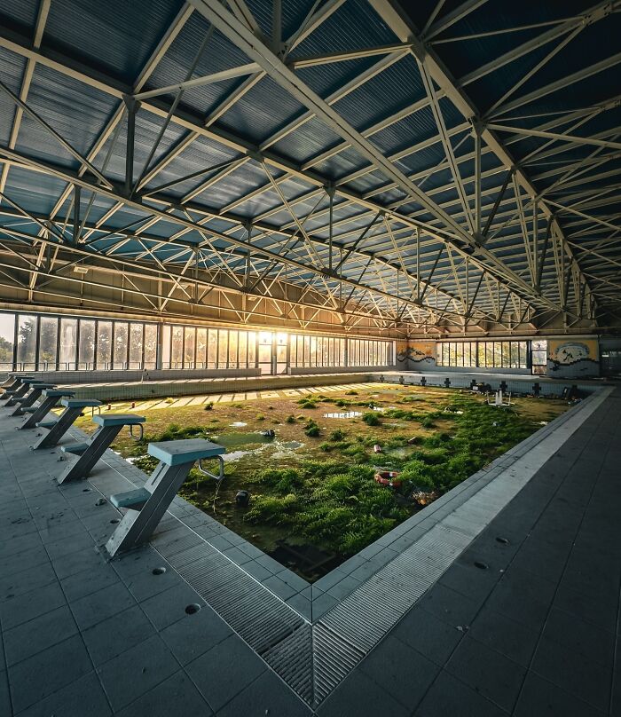 Nature reclaiming an abandoned indoor pool, with plants growing on the empty floor.