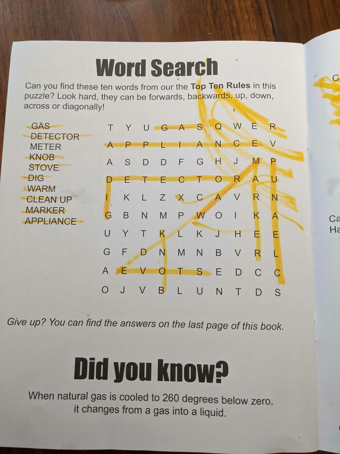 Word search puzzle page with highlighted words; example of poorly-written-designed-books.
