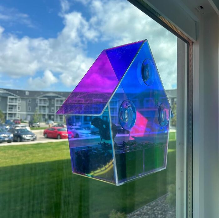 Colorful birdhouse feeder attached to a window, bringing joy with its vibrant design against a clear sky and apartments.