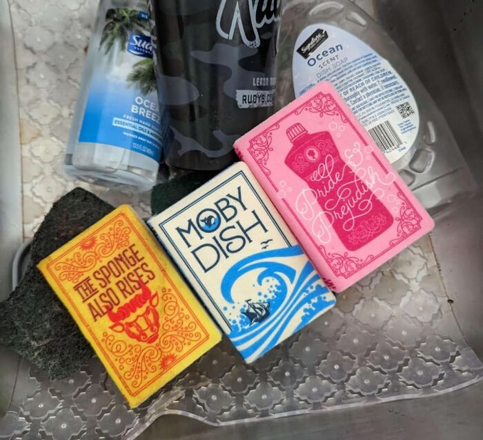 Colorful sponges shaped like classic book covers next to cleaning products in a sink.