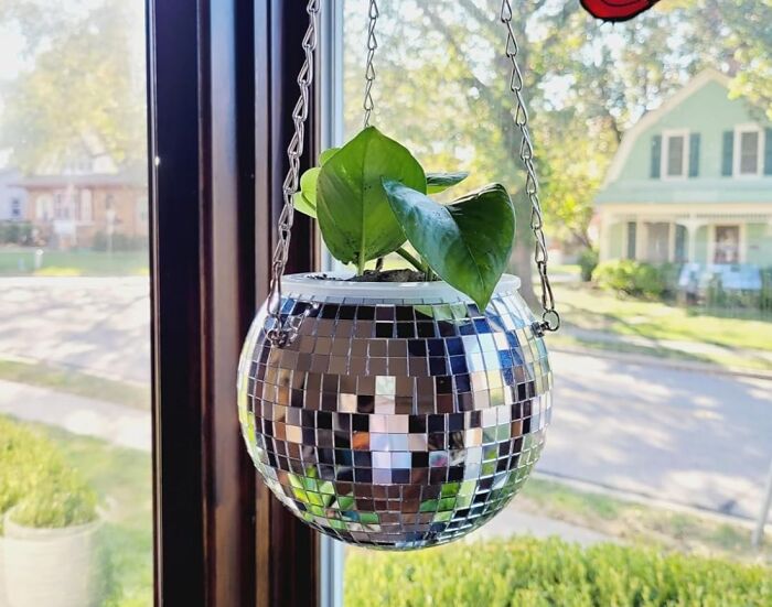 Disco ball planter hanging by a window, bringing joy with its reflective surface and vibrant green leaves.