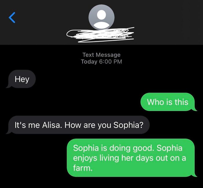 Text conversation showcasing a humorous scammer response about Sophia living on a farm.