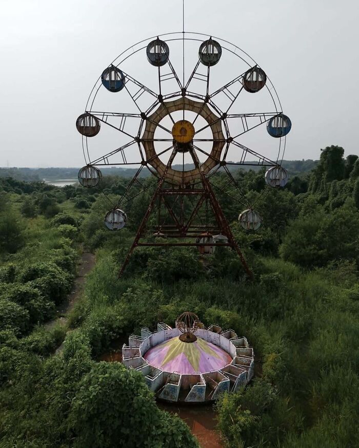 Ferris wheel overgrown by nature, showcasing nature reclaiming civilization in an abandoned amusement park.