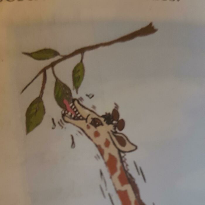Illustration from poorly designed books showing a giraffe reaching for leaves with difficulty.