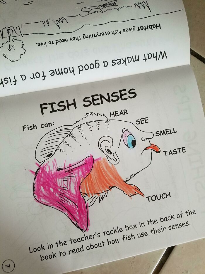 Poorly designed book showing fish senses with humorous illustration and coloring.