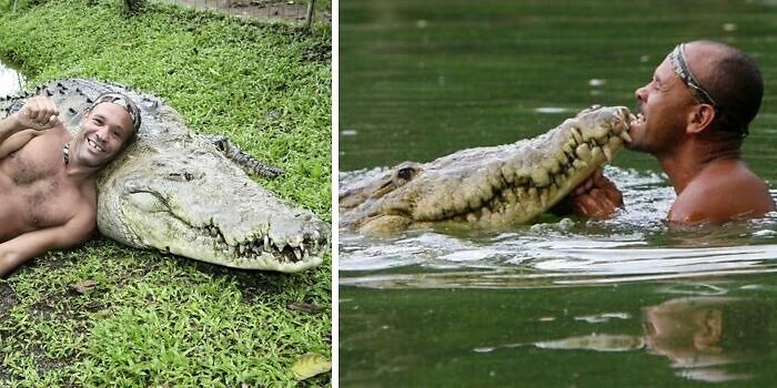 Man interacting closely with a large crocodile, showcasing bizarre behavior in a natural setting.