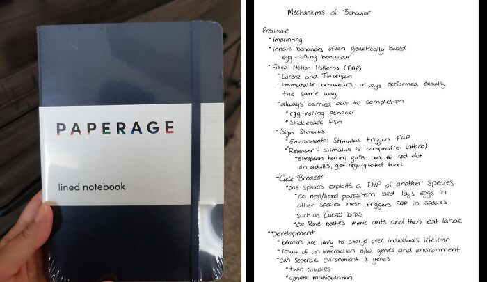 Old school handwritten notes in a lined notebook titled "PAPERAGE" with various behavioral mechanisms outlined.