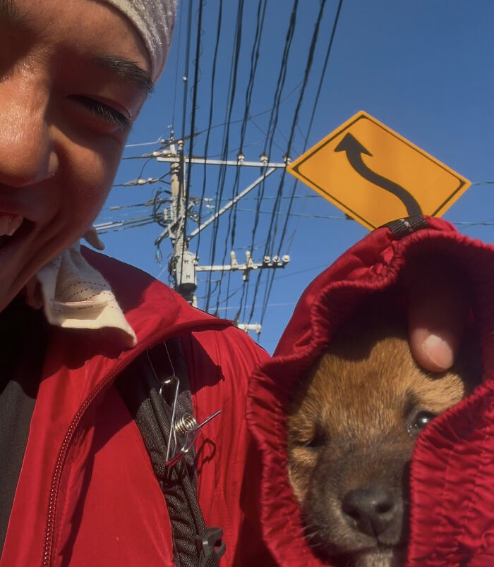 This Man Adopted A Shiba Inu Puppy On His Journey Across Japan&mdash;and Their Story Might Melt Your Heart