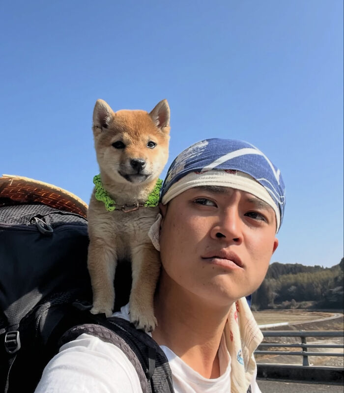 This Man Adopted A Shiba Inu Puppy On His Journey Across Japan&mdash;and Their Story Might Melt Your Heart
