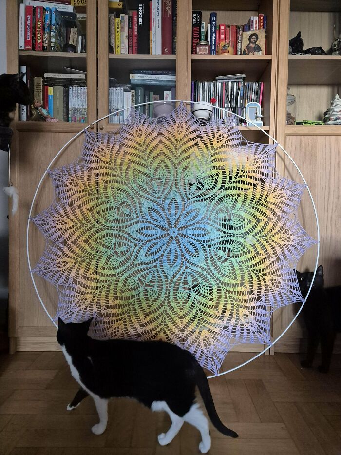 Intricate crochet masterpiece with a colorful gradient pattern displayed indoors beside black and white cats.