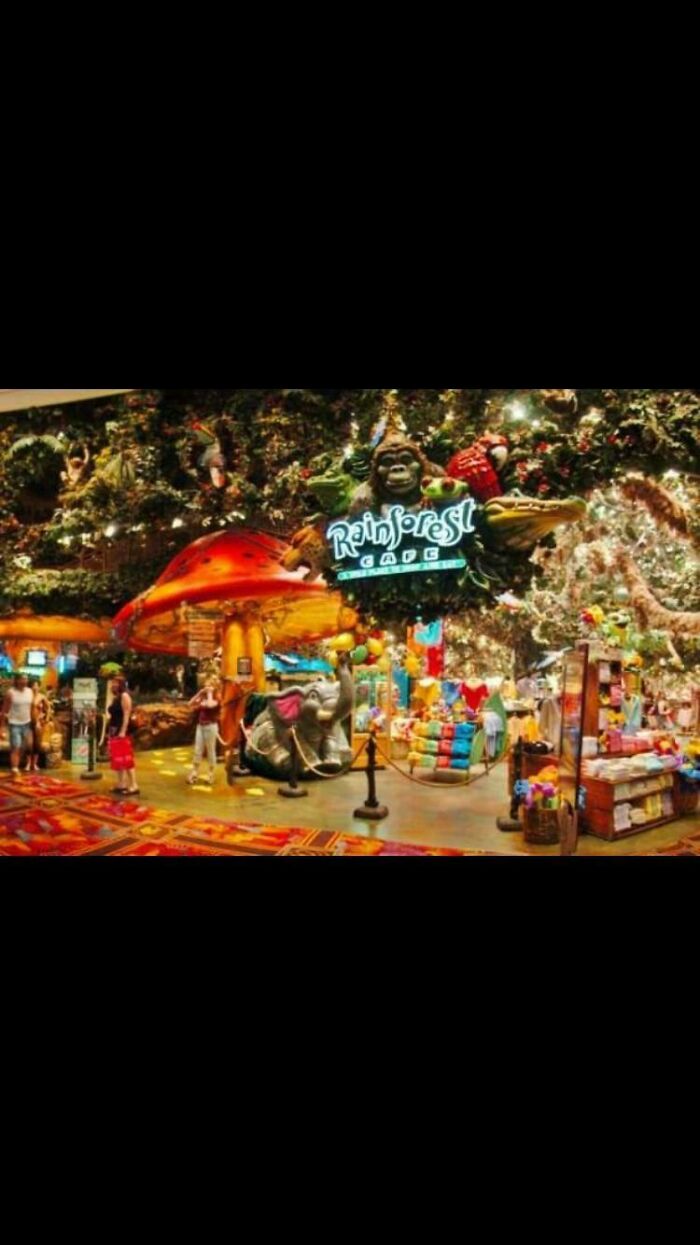 Rainforest Cafe entrance with jungle theme decor, people exploring the nostalgia of the 2000s.