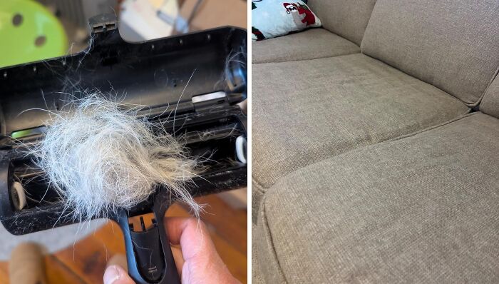 Vacuum with pet hair and clean beige couch, showcasing clever inventions for effortless cleaning.