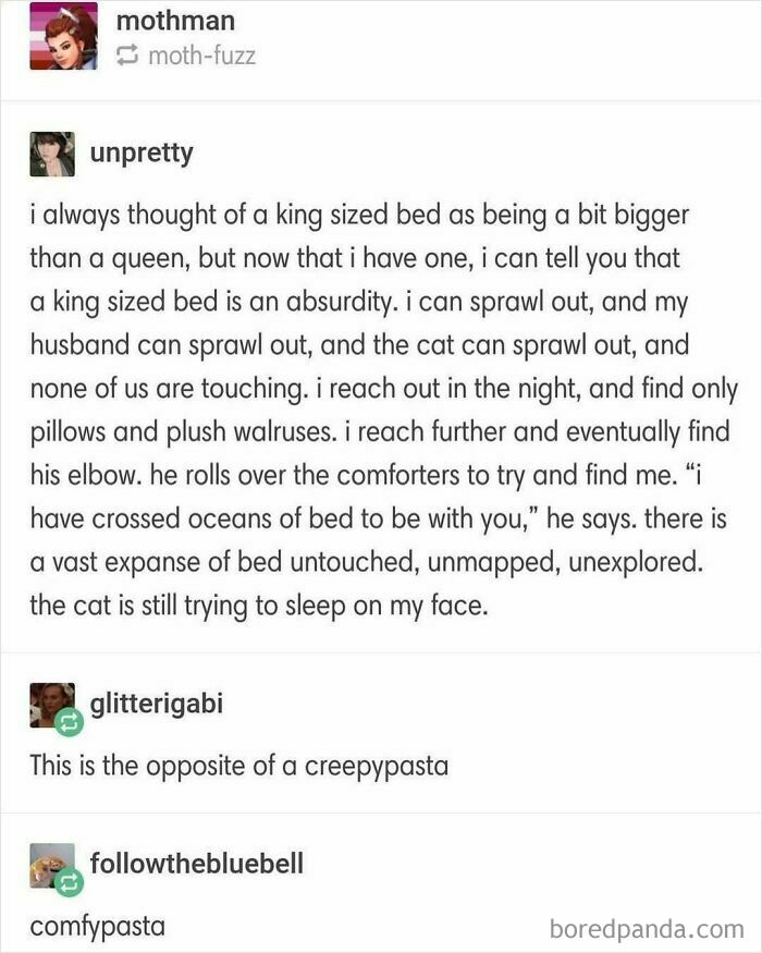 Funny Tumblr post about the absurdity of a king-sized bed, described humorously as an untouched expanse.