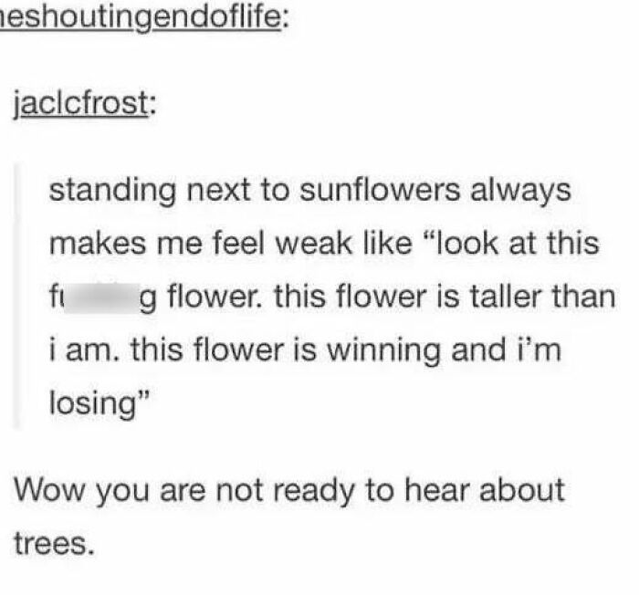 Funny post about feeling weak next to tall sunflowers, highlighting the humorous side of Tumblr.