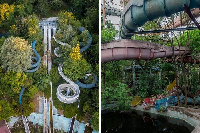 Abandoned water slides overtaken by trees, illustrating nature reclaiming civilization.