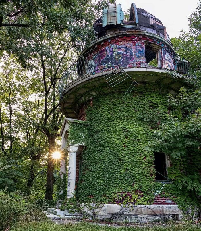 Overgrown vines on an abandoned building, illustrating nature reclaiming civilization amidst a forest backdrop.