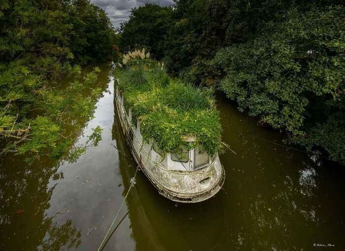 Nature reclaiming civilization: Overgrown plants cover an abandoned boat on a river surrounded by lush greenery.