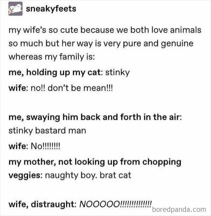 Humorous Tumblr post featuring a playful exchange about a man's cat and his wife's reaction.