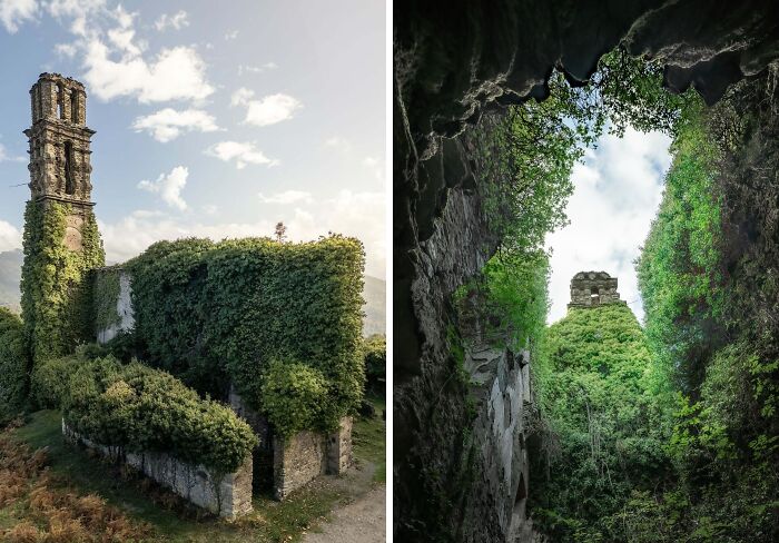Overgrown ruins with nature reclaiming civilization, covered in lush greenery and towering plants.
