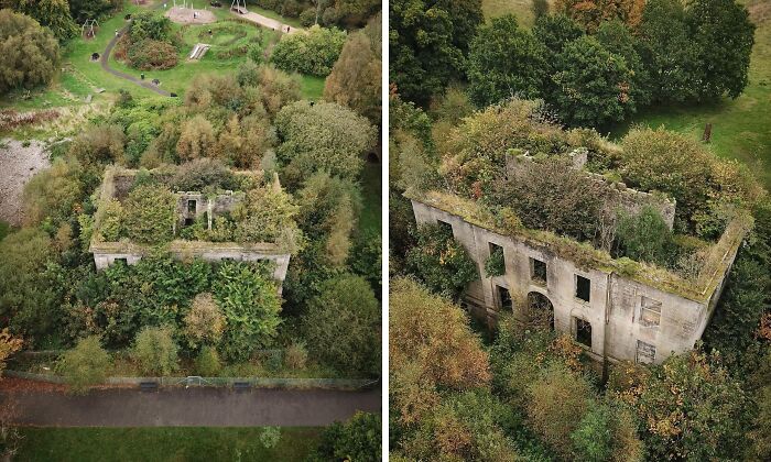 Abandoned building overgrown with trees and plants, illustrating nature reclaiming civilization.