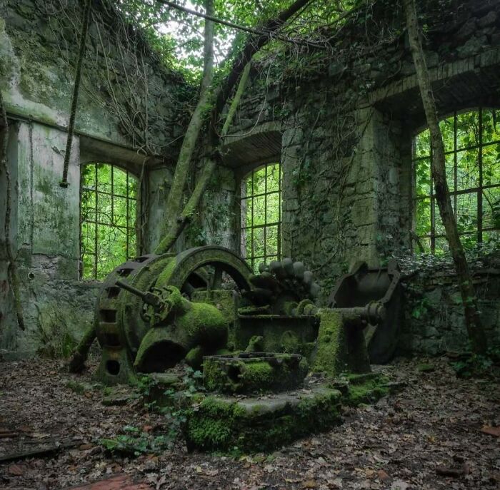 Moss-covered machinery in an abandoned building with nature reclaiming civilization.