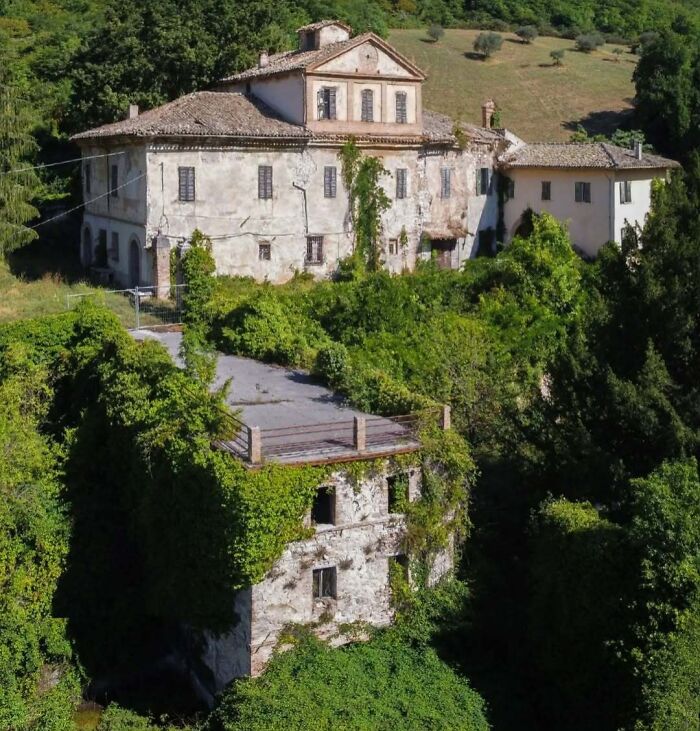 Vines covering an abandoned building, showcasing nature reclaiming civilization in a rural setting.
