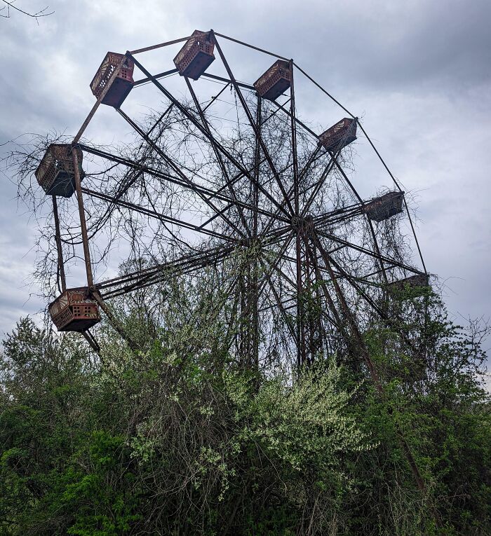 Overgrown Ferris wheel surrounded by nature, illustrating nature reclaiming civilization.