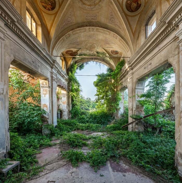 Overgrown vegetation inside an abandoned building, illustrating nature reclaiming civilization.