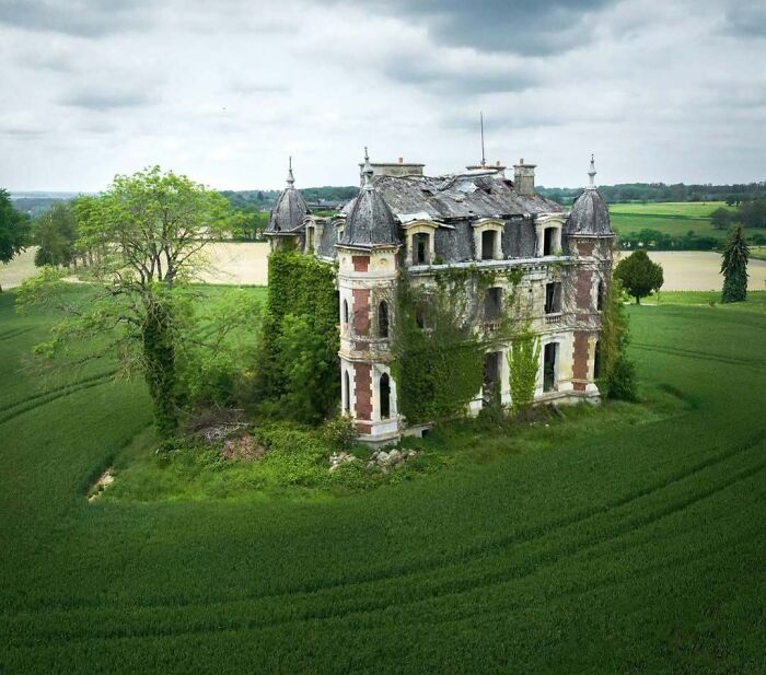 Abandoned mansion overgrown with ivy in a lush green field, showcasing nature reclaiming civilization.