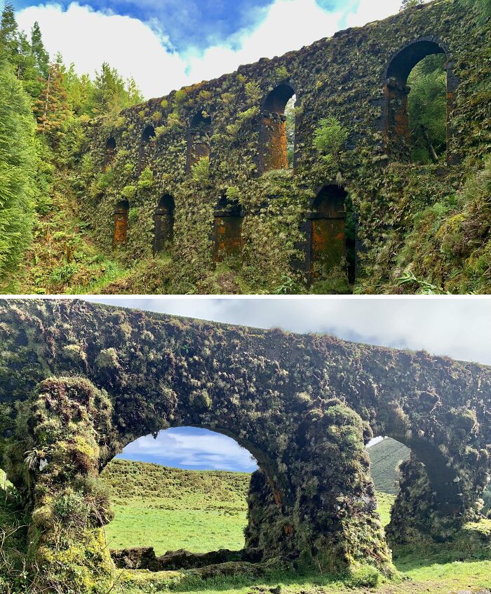 Moss-covered ancient stone arches with nature reclaiming the structures, surrounded by lush greenery.
