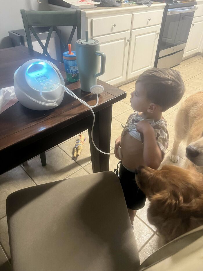 Toddler using a breastfeeding pump in the kitchen with two dogs nearby, showcasing wholesome parenting moments.