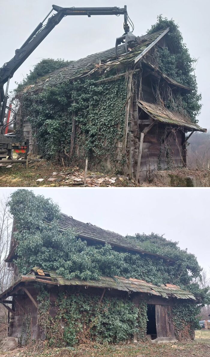 Abandoned building overtaken by nature, with vines covering the structure amidst a forest setting.