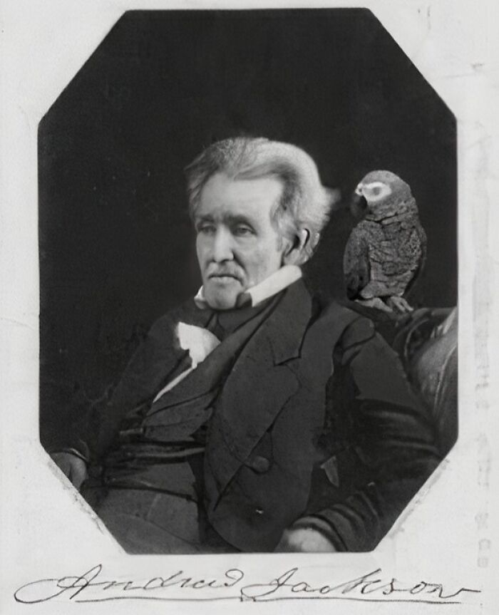 Man sitting with a parrot on his shoulder, showing something interesting in a classic portrait setting.