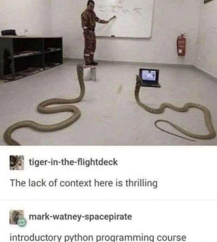 Man teaching snakes with laptop, illustrating the funny side of Tumblr.