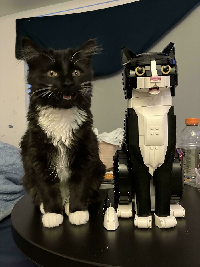 Tuxedo cat sitting next to a matching Lego sculpture on a table.
