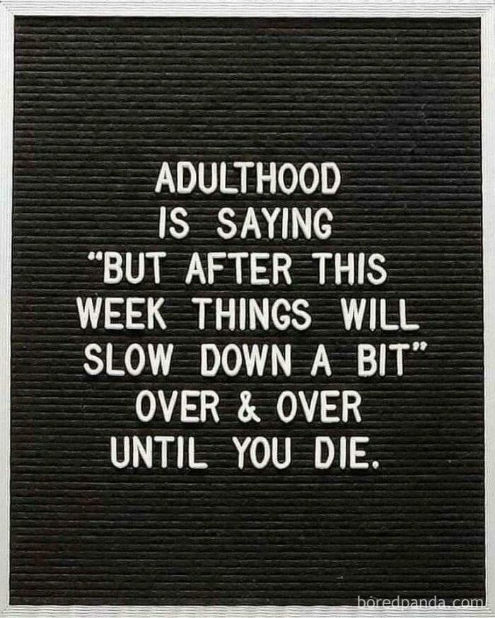 Black letter board with white text humorously describing adulthood as repeatedly expecting life to slow down, a random funny post.