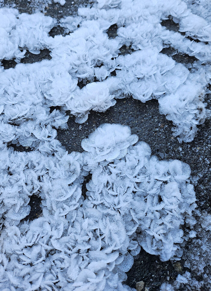 Close-up of frost crystals forming intricate patterns on a dark surface, showcasing a moderately interesting natural phenomenon.