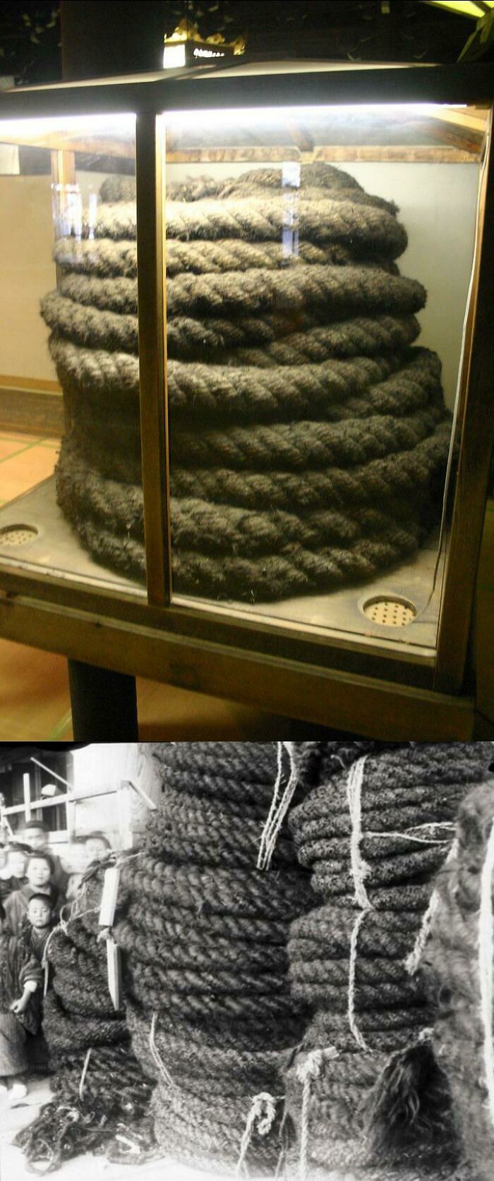 Ancient artefact: large coil of preserved rope displayed in a glass case, with historical black and white photo of similar ropes.