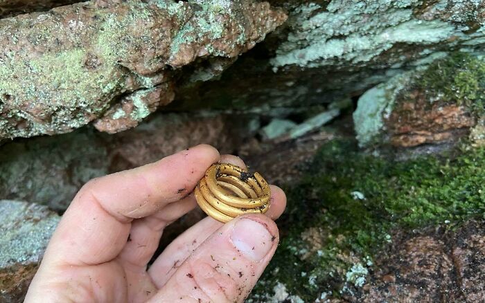 Hand holding an ancient artifact, a gold spiral, found nestled in a moss-covered rocky area.