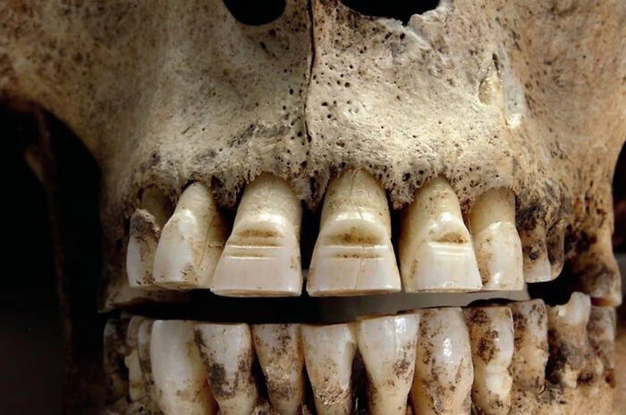 Close-up of ancient artefact: a skull with intricate wear patterns on the teeth.