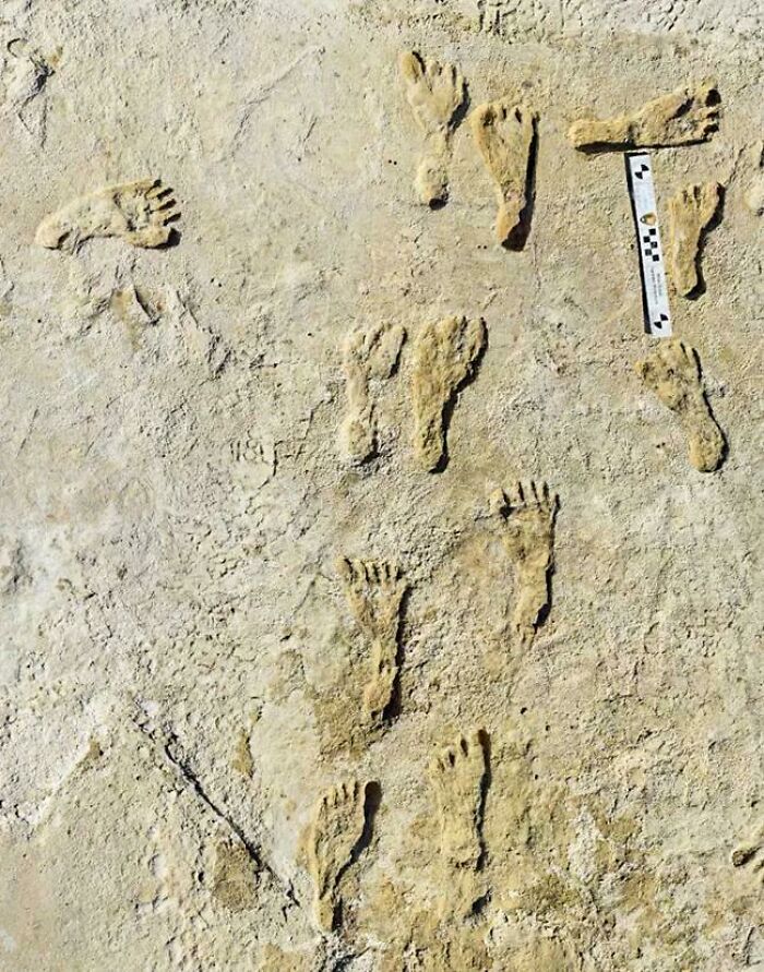Ancient artefact footprints preserved in stone, showcasing historical human activity.