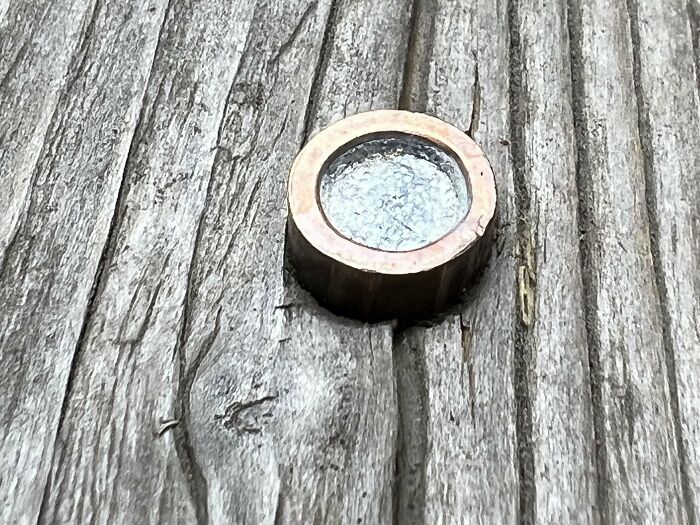 Weird object resembling a small circular lens embedded in wood.