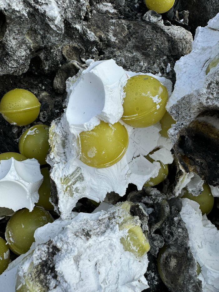 Yellow spheres and white material among rocks; a weird object found by someone.