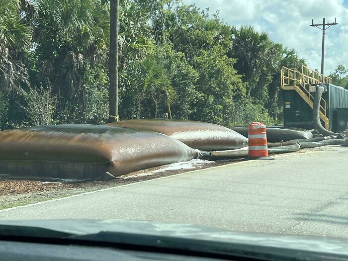 Weird objects: large inflatable bags on the roadside with palm trees in the background.