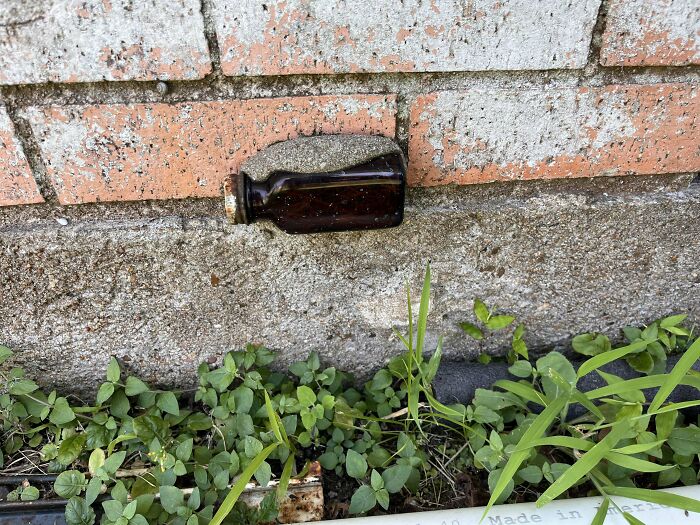 Weird object: a small brown bottle embedded in a brick wall, surrounded by greenery.