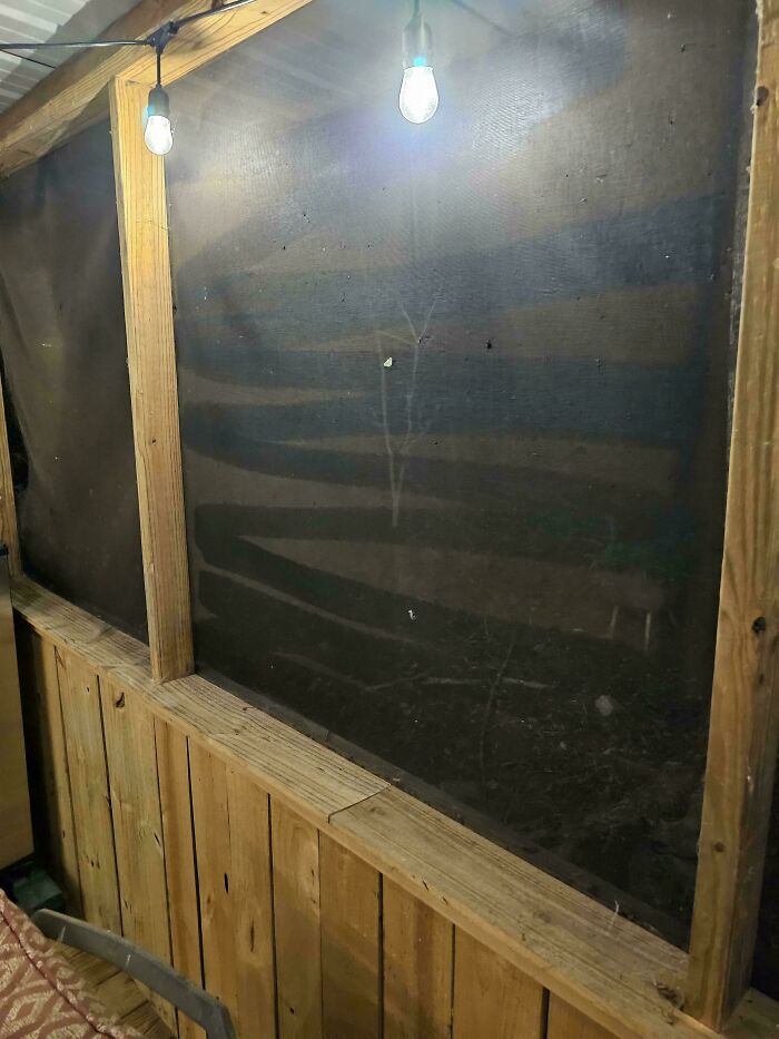 Wooden framed window with two hanging light bulbs, capturing quirky design choices by annoying boyfriends or husbands.