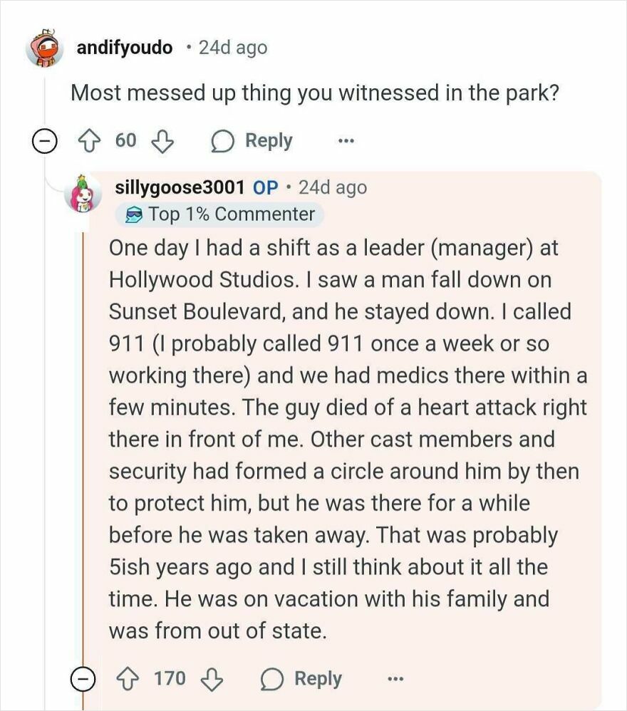 Reddit post discussing a dramatic incident witnessed at a Disney park, involving emergency services.