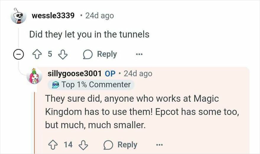Reddit comment about Disney Parks secrets, discussing Magic Kingdom tunnels used by staff.